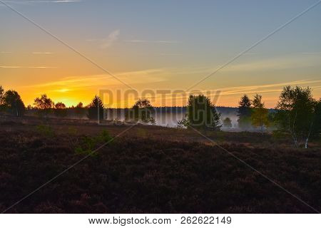 Sunrise Sunset In Golden Autumn In The Luneburg Heath