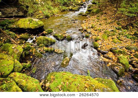 fald skov stream Elomovsky i russiske primorye Lazo reserve