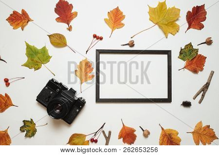 Retro Camera And Wooden Photo Frame With Autumn Fall Leaves. Flay Lay, Top View. Copy Space