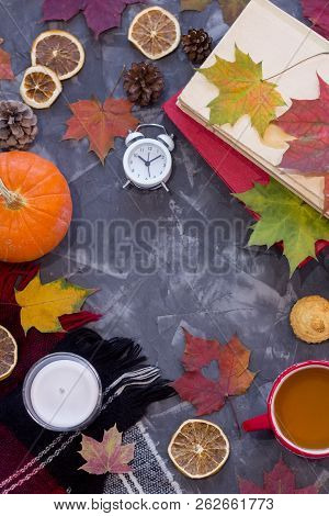 Top View Apportion From Autumn Objects On A Concrete Background. Autumn Still Life