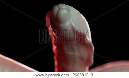 3d rendered medically accurate illustration of a roundworm
