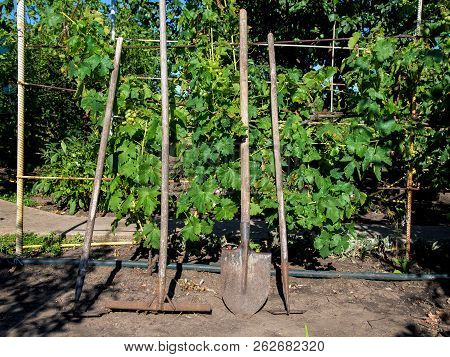 The Tool For Processing Of Soil In Agriculture. On The Wooden Handle Metal Nozzles For Care Of A Kit