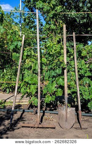 The Tool For Processing Of Soil In Agriculture. On The Wooden Handle Metal Nozzles For Care Of A Kit