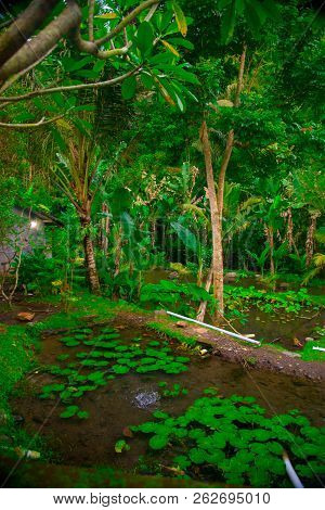 Pura Gunung Kawi Sebatu Temple In Bali, Indonesia. Bali Is An Indonesian Island And Known As A Touri