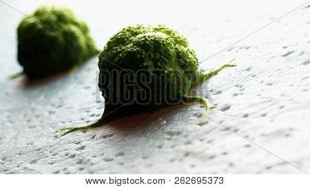 3d rendered medically accurate illustration of a cancer cell