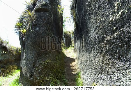 Volcanic Rock - Floreana Island - Galapagos
