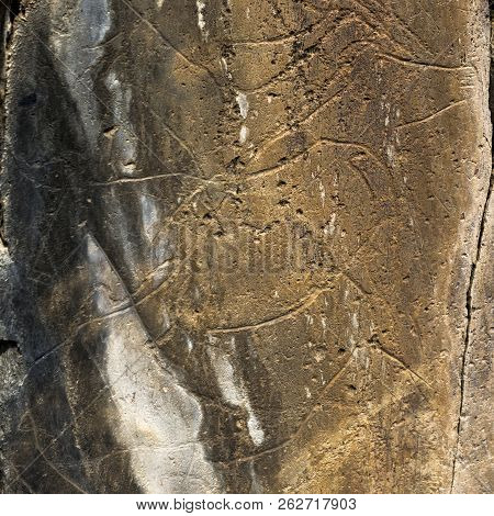 Coa Valley, Portugal - June 22, 2018:  The Prehistoric Rock Art Site Of The Coa Valley Is An Open Ai