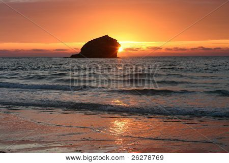 Gull หินอาทิตย์ Portreath คอร์นวอลล์