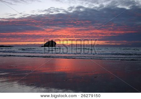 ร็อค gull หลังจากคอร์นวอลล์อาทิตย์ Portreath