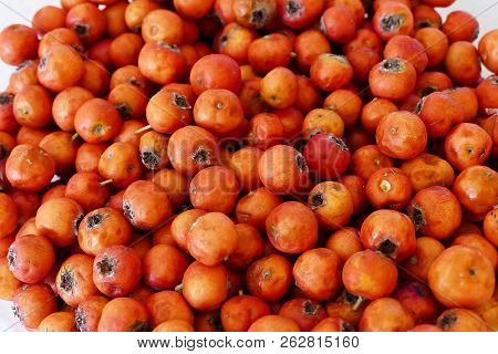 Hawthorn Fruit, Red Hawthorn And Human Health, The Healing Hawthorn Fruit,