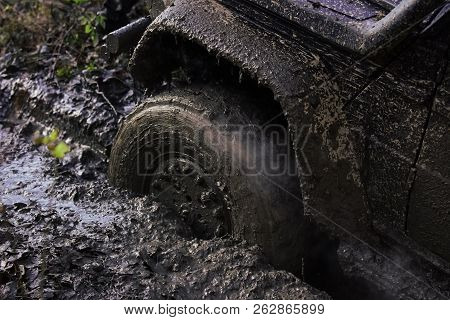 Fragfment Of Car Stuck In Dirt, Close Up. Dirty Offroad Tire Covered With Mud. Wheel With Cloud Of S