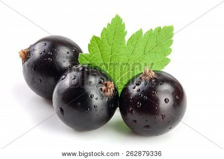 Black Currant With Leaf Isolated On White Background