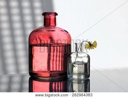 Two Vintage Glass Bottles And Small Yellow Wild Flower Against A High Key Background. Сountry Style 