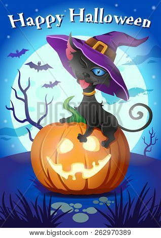 Halloween Illustration. Black Cat In Witch Hat On Halloween Pumpkin Across The Moon And Dark Night B