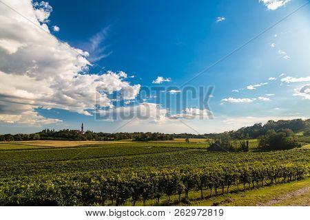 Sunset In The Vineyards Of Friuli Venezia Giulia