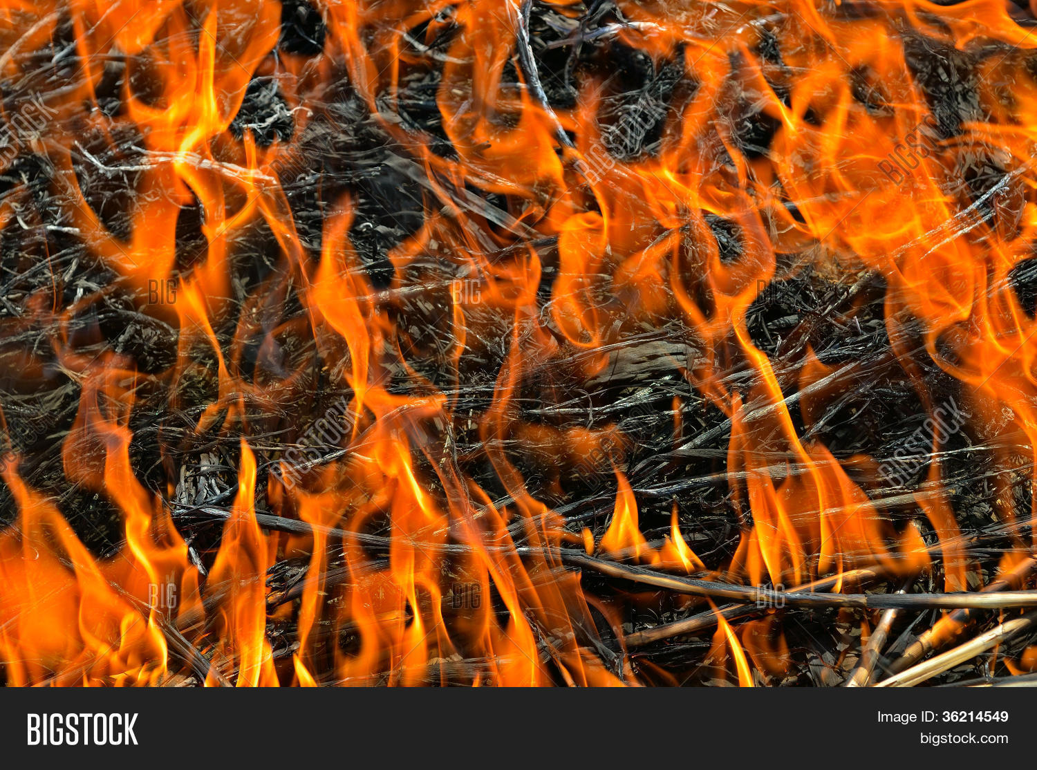 Flame Ash Image & Photo (Free Trial) Bigstock