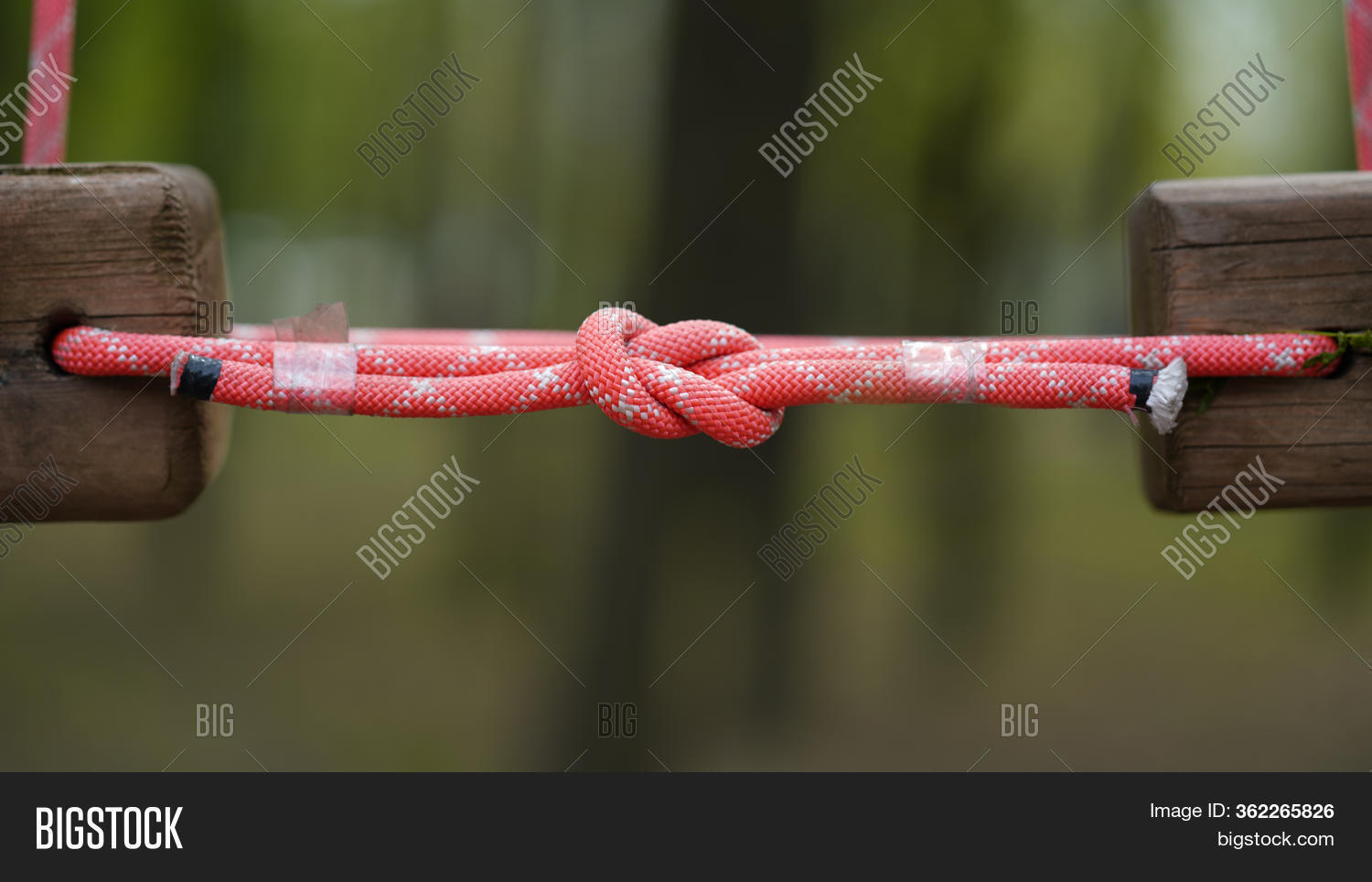 Knot On Red Ropes Rope Image & Photo (Free Trial) Bigstock