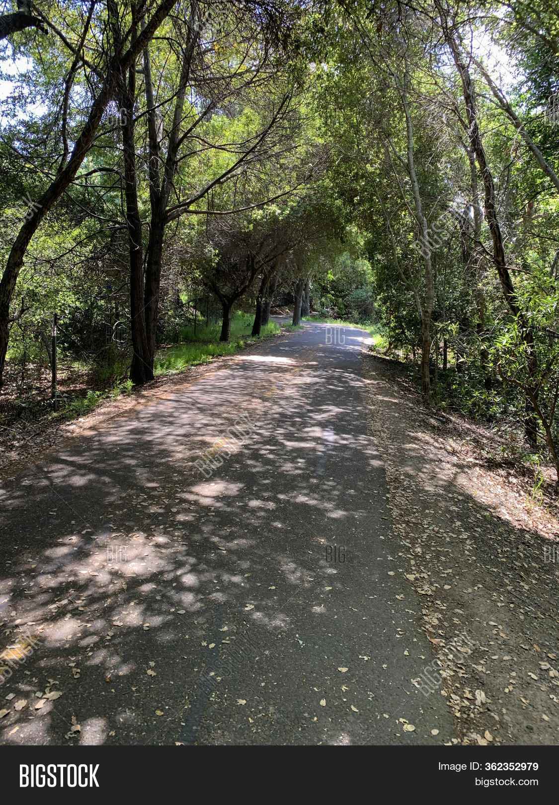 Stevens Creek Trail Image & Photo (Free Trial) | Bigstock
