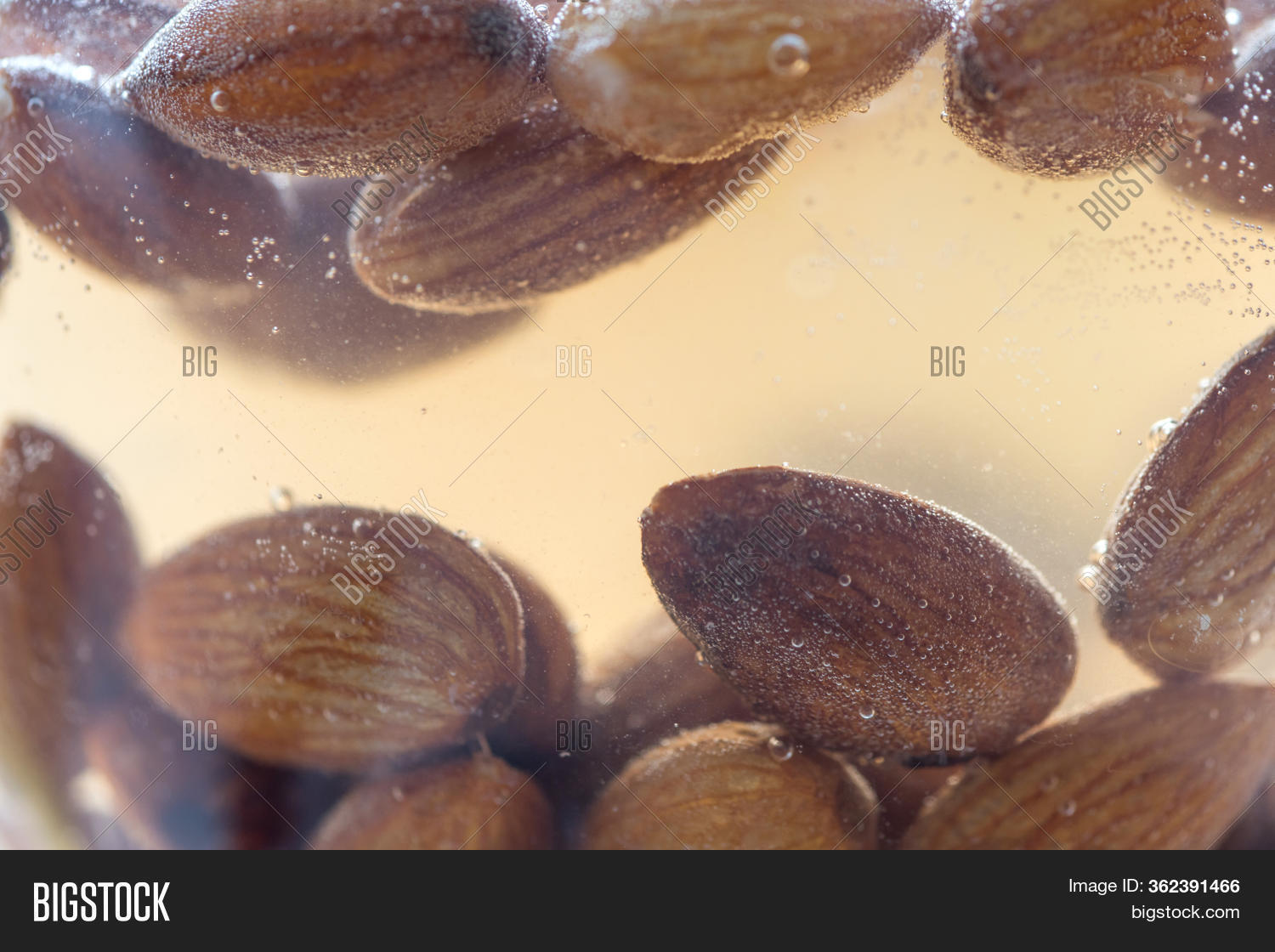 Almond Kernels Soaked Image & Photo (Free Trial) Bigstock