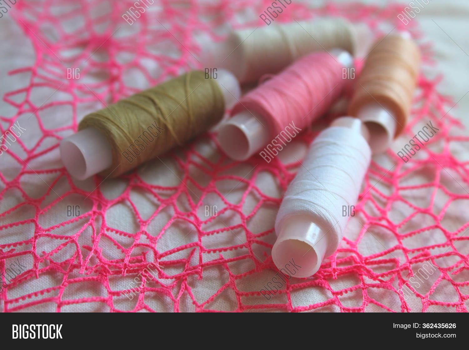 Sewing Cotton Threads Image & Photo (Free Trial) Bigstock