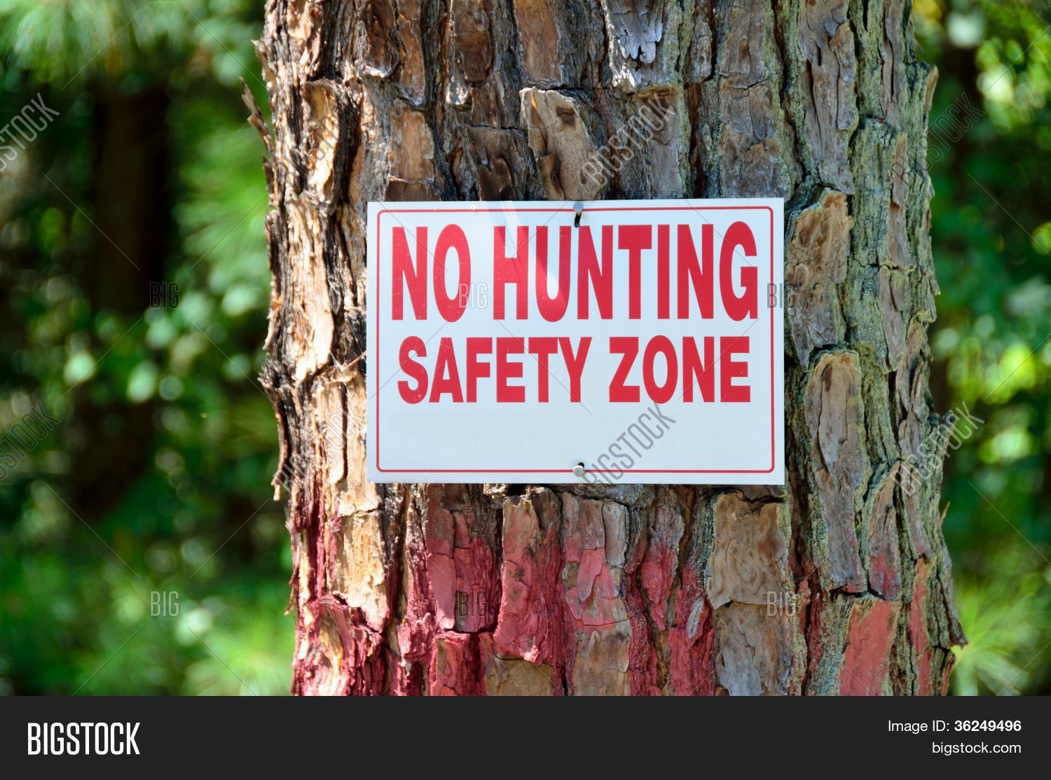 No Hunting Sign Image & Photo (Free Trial) Bigstock