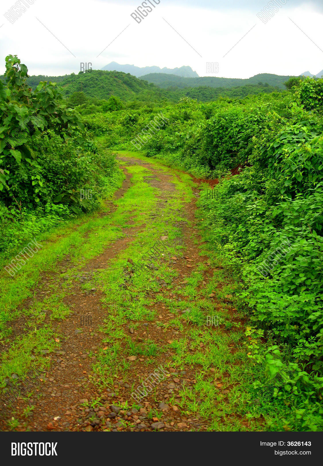 Road Prosperity Image & Photo (Free Trial) Bigstock