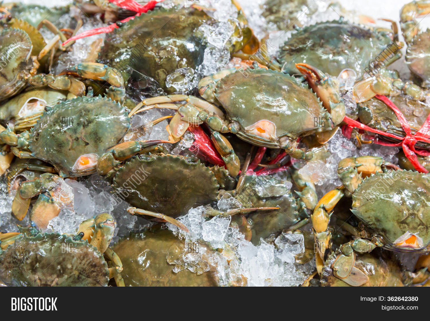 Fresh Crabs Seafood Image & Photo (Free Trial) Bigstock