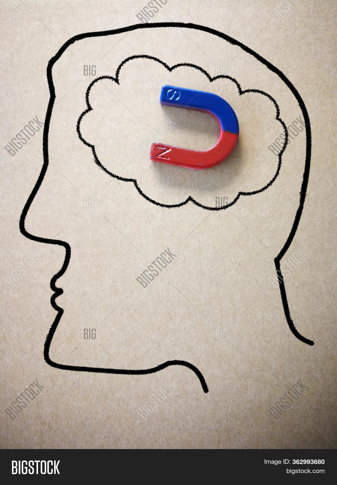 On Brain, Law Image & Photo (Free Trial) Bigstock