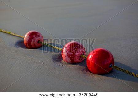 The Buoys