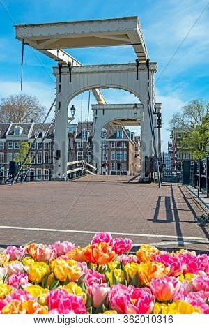 City scenic from Amsterdam in spring at the Tiny bridge in the Netherlands
