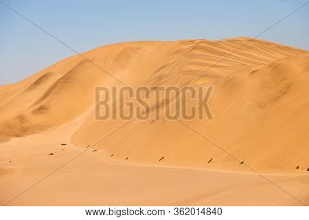 Sand Dunes In Dorob National Park In Namibia.