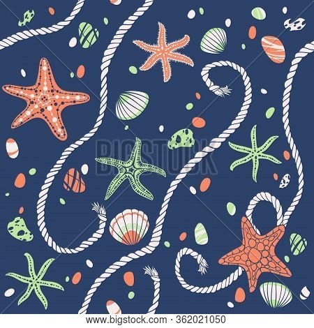 Hand Drawn Seastars, Rope, Seastones And Seashells On Wooden Background. Hand Written Summer Letteri