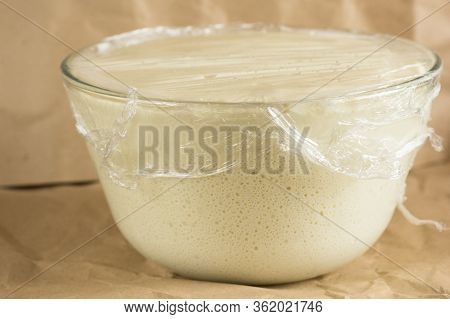 Glass Bowl With Aired Yeast Dough Raised Covered By Cling Film