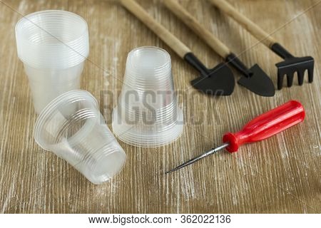 Stack Empty Plastic Glasses Of One Hundred Milliliters For Seedlings And Rooting Cuttings On Wooden 