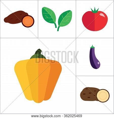 Vegetables Icons Set With Tomato, Eggplant And Radis. Set Of Six Flat Icons