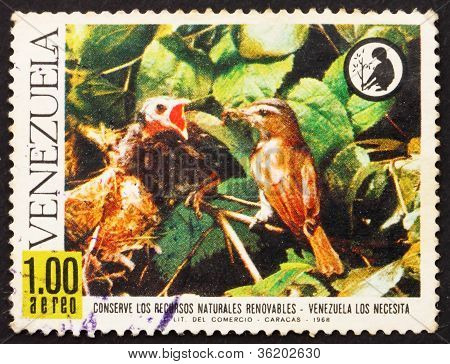 Francobollo Venezuela 1968 occhi rossi Vireo alimentazione testabruna