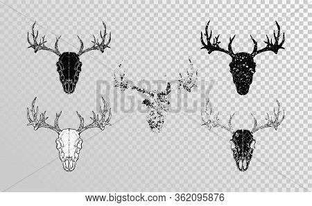 Vector Set Of Hand Drawn Skulls Deer With Grunge Elements In Different Versions On A Transparent Bac