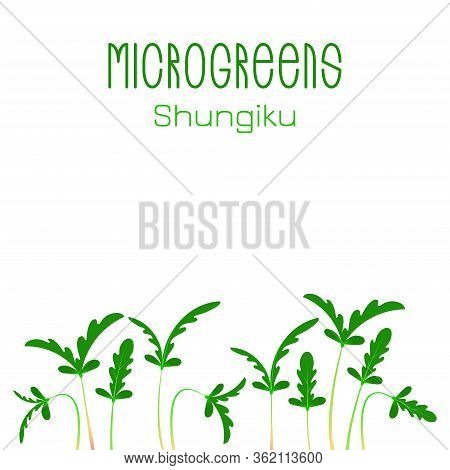 Microgreens Shungiku. Seed Packaging Design. Sprouting Seeds Of A Plant
