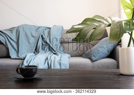 Cozy Living Room With Sofa. Black Tea Cup On Table Decorated Mostera. Scandinavian Interior. Stay At