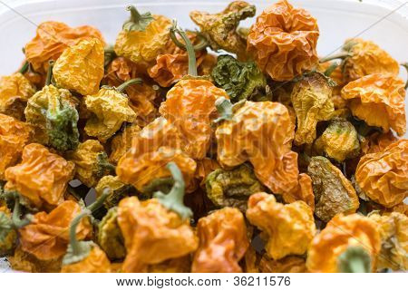 Chilli Peppers