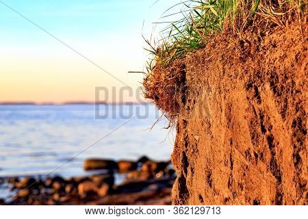 Soil Profile Of A Cambisol Or Inceptisol Formed Of Till On A Cliff At The Baltic Sea Near Fehmarn In