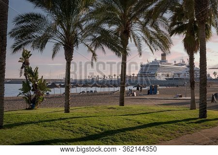 Beach Panorama At Sunset With Palm Trees In The Grass Near The Sandy Beach With Straw Umbrellas And 