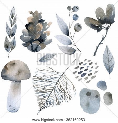 Handsketched Elements Of Northern Forest. Hand Drawn Nordic Set. Collection Of Animals, Florals, Flo