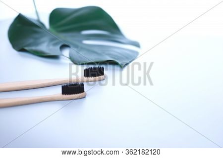 The Concept Of Zero Waste. Bamboo Toothbrush And Manstera Leaf