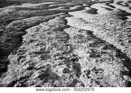 Muddy Volcanoes In Berca (paclele Mari, Buzau), Romania