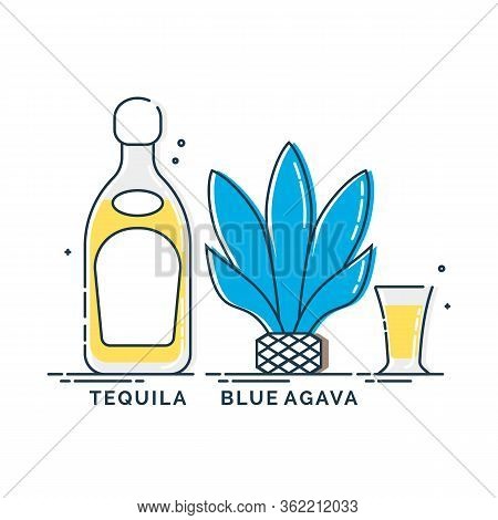 Tequila Blue Agava Produkt In Glass Bottle With Glassware In Flat Style. Alcohol Beverage. Great Des