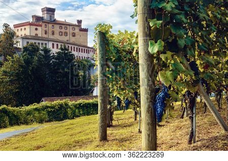 Panorama Of Barolo (piedmont, Italy) With The Town, The Medieval Castle And The Vineyards. Barolo Is