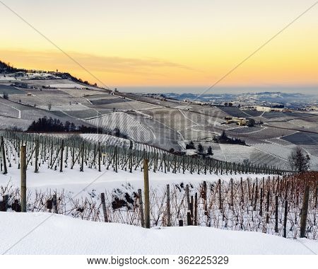 Vineyards Of Barolo In The Hills Of Langhe, (piedmont, Italy) At Sunset. Countryside And Rows Covere