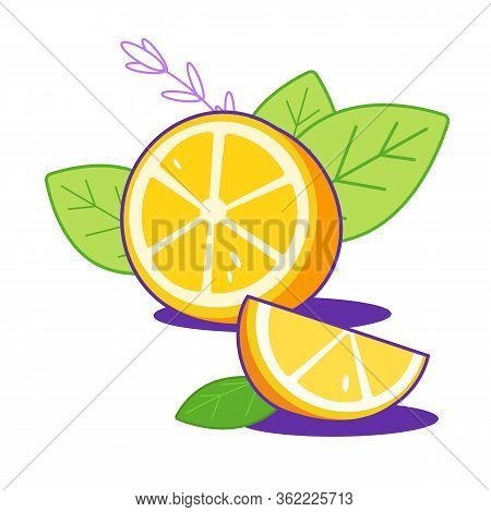 Group Of Bright Fresh Lemons With Leaves. Citrus, Half Of Lemon, Chopped Lemon. Lemon Slice. Print, 