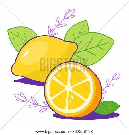 Bright Fresh Lemons With Leaves. Citrus, Half Of Lemon, Chopped Lemon. Cut Lemon Slice. For Print, W